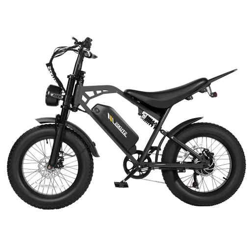 Eskute V200 20*4.0"