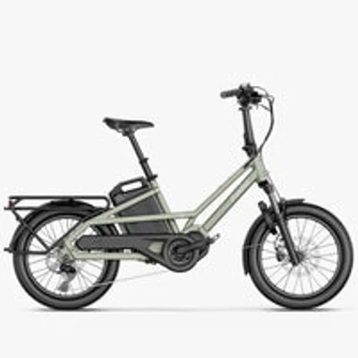 Fiido T3 Family Cargo