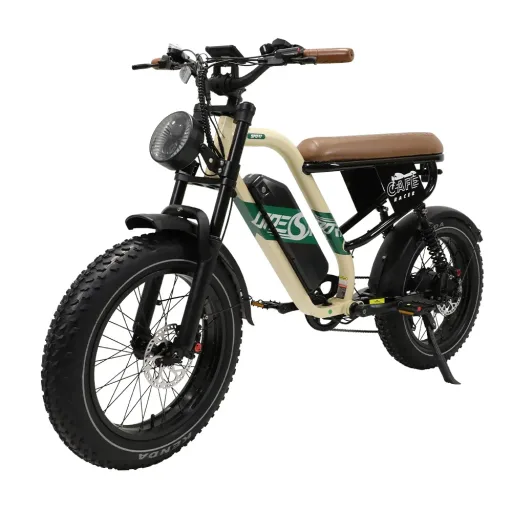 Gunai OneSport W66 Motor Fat Rear Suspension.