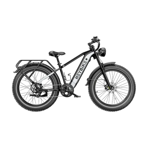 Heybike Brawn
