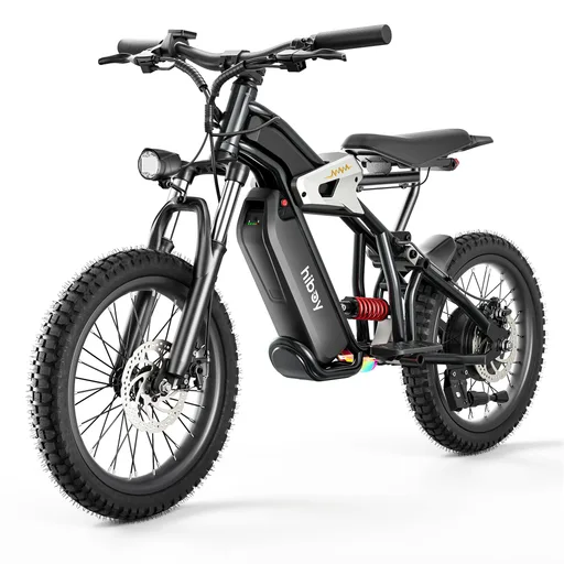 Hiboy DM14