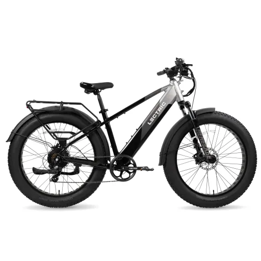 Lectric XPeak