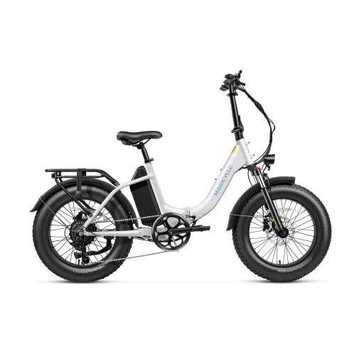 Magicycle Jaguarundi