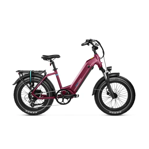 Magicycle Ocelot Pro 2