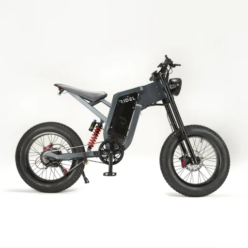 Ridel R1
