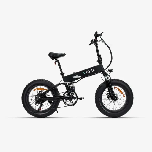 Ridel Tripster