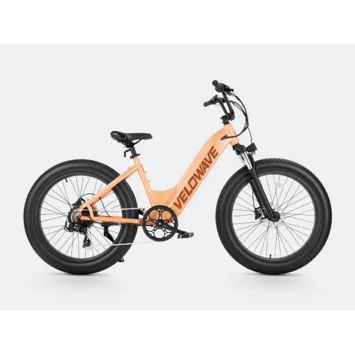 Velowave Rover
