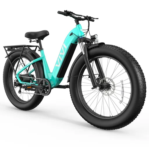 VIVI with Removable 7-Speed,Front Suspension,